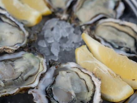 Oesters op ijs met partjes citroen.